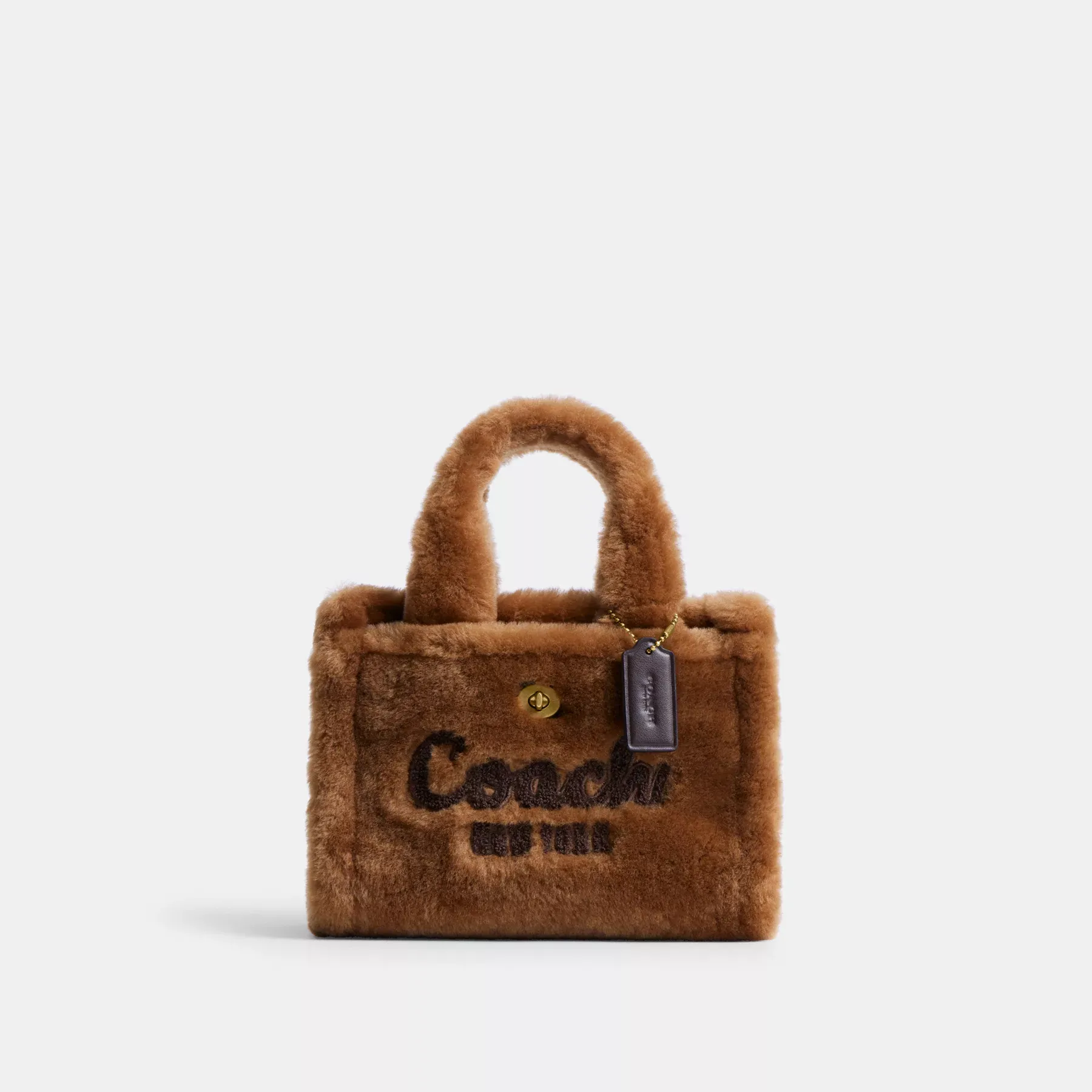 Cargo Tote Bag 20 In Shearling Teddy