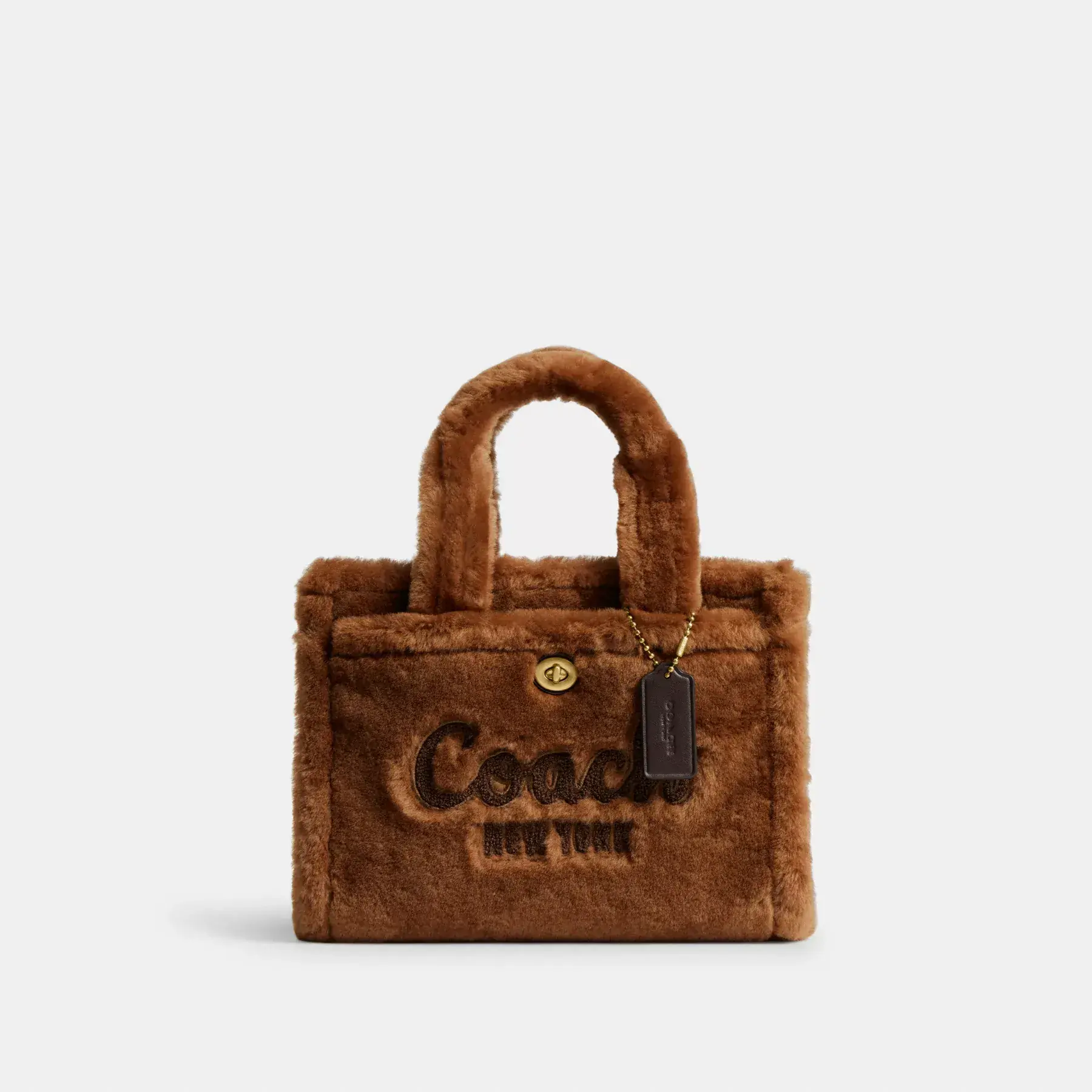 Cargo Tote Bag 26 Teddy