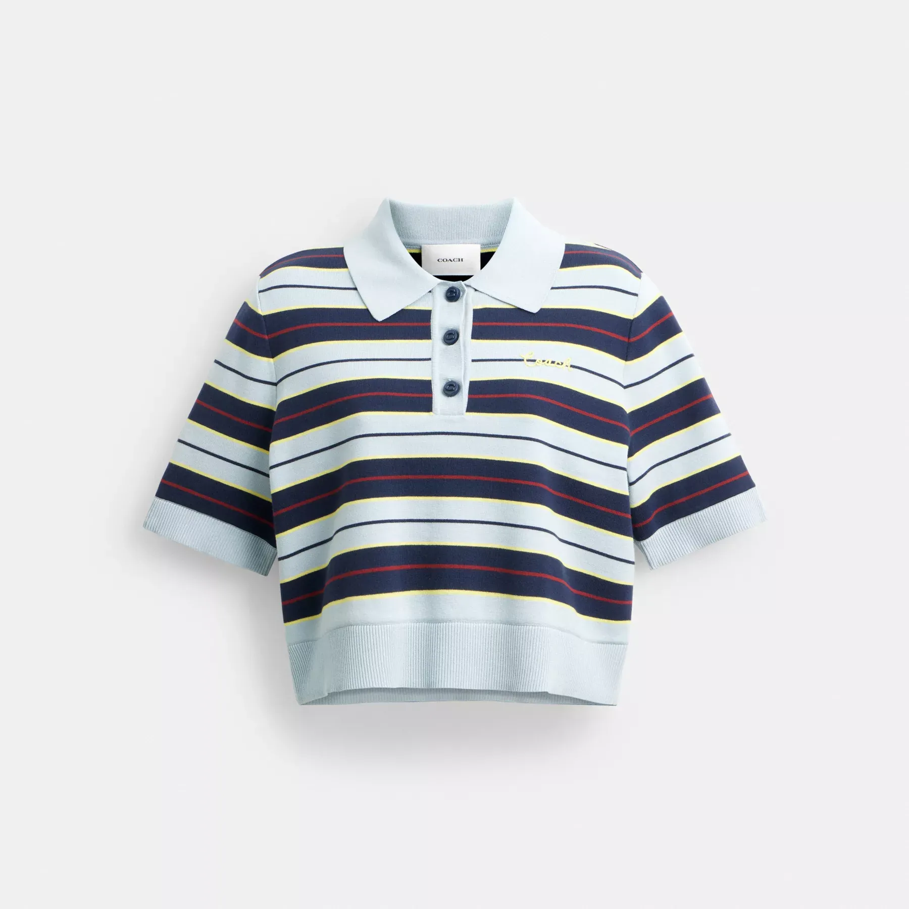 Cropped Stripe Polo Blue Multi