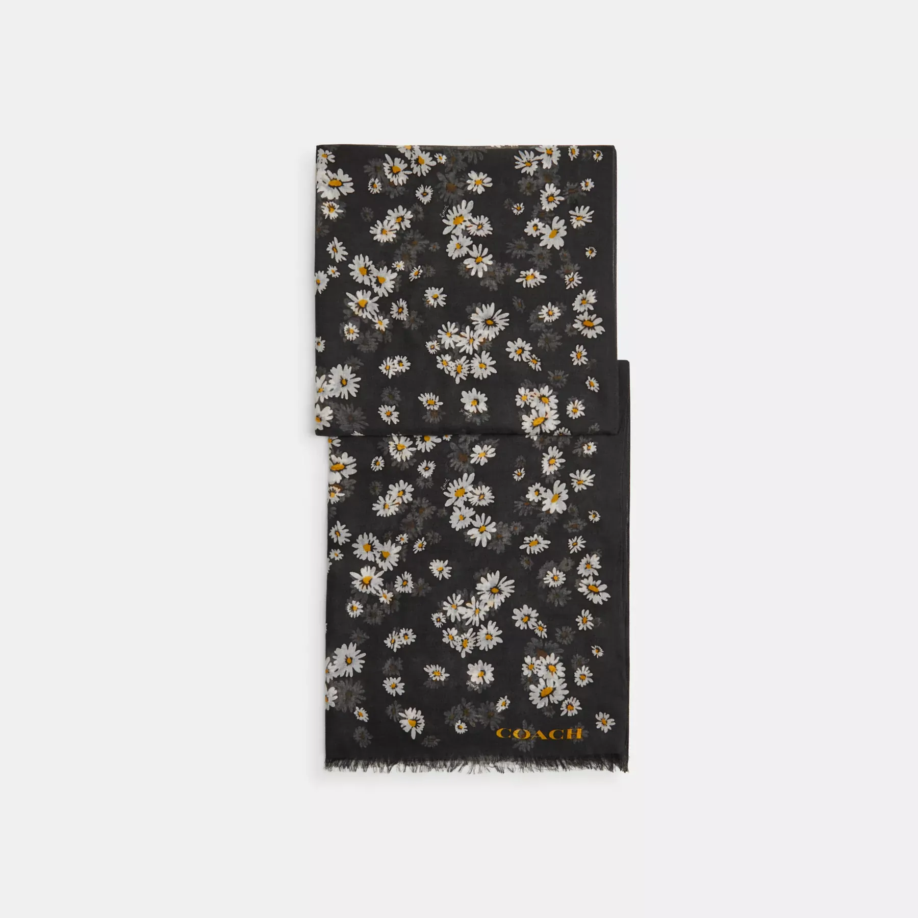Daisy Cluster Print Oblong Scarf Black/Chalk