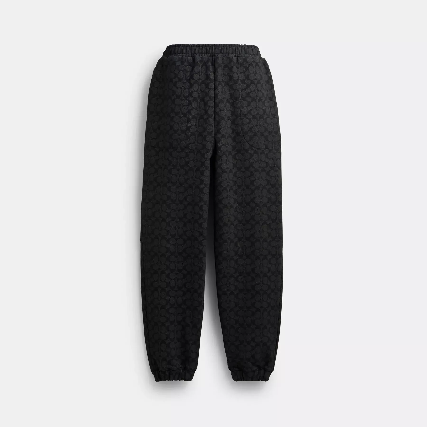 Essential Signature Joggers Charcoal Signature