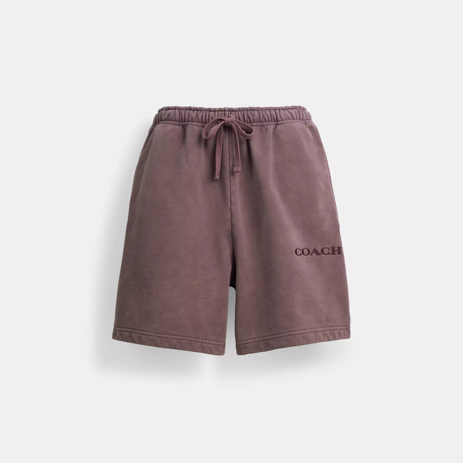 Garment Dye Pull On Shorts Purple