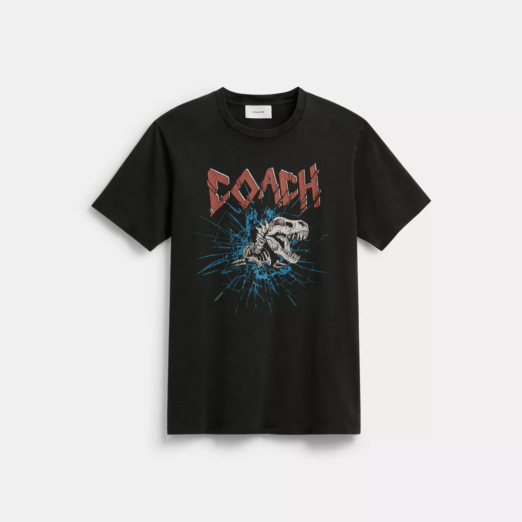 Signature Skeleton Rexy T-Shirt Black