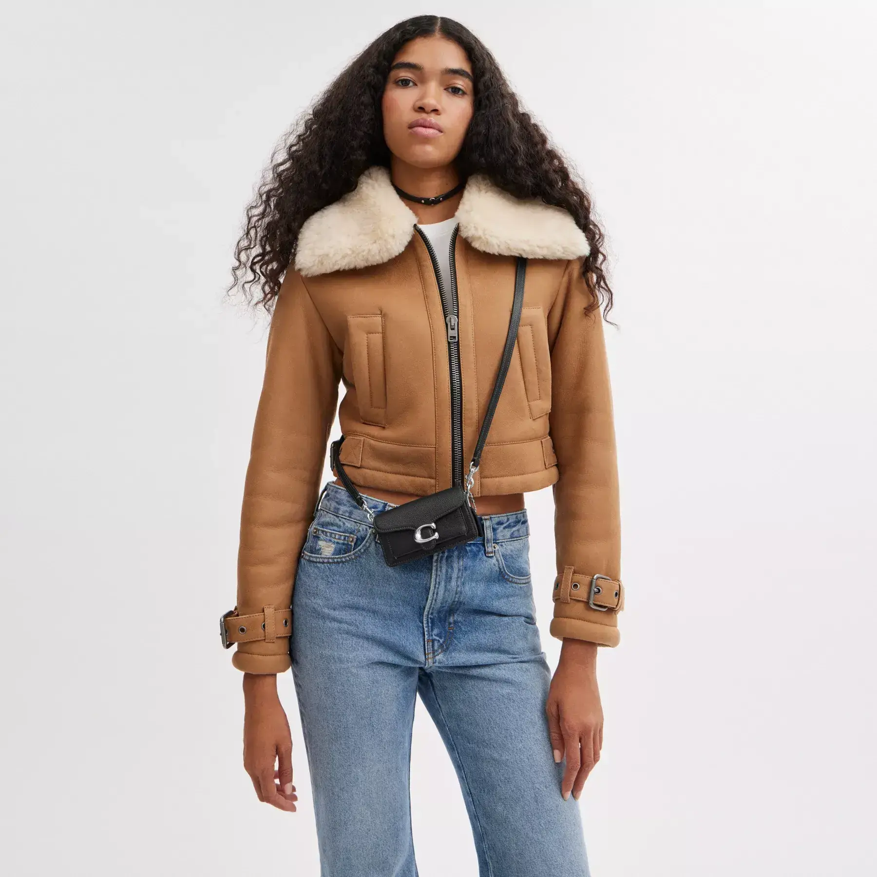 Tabby 12 Black Tabby 12 Black