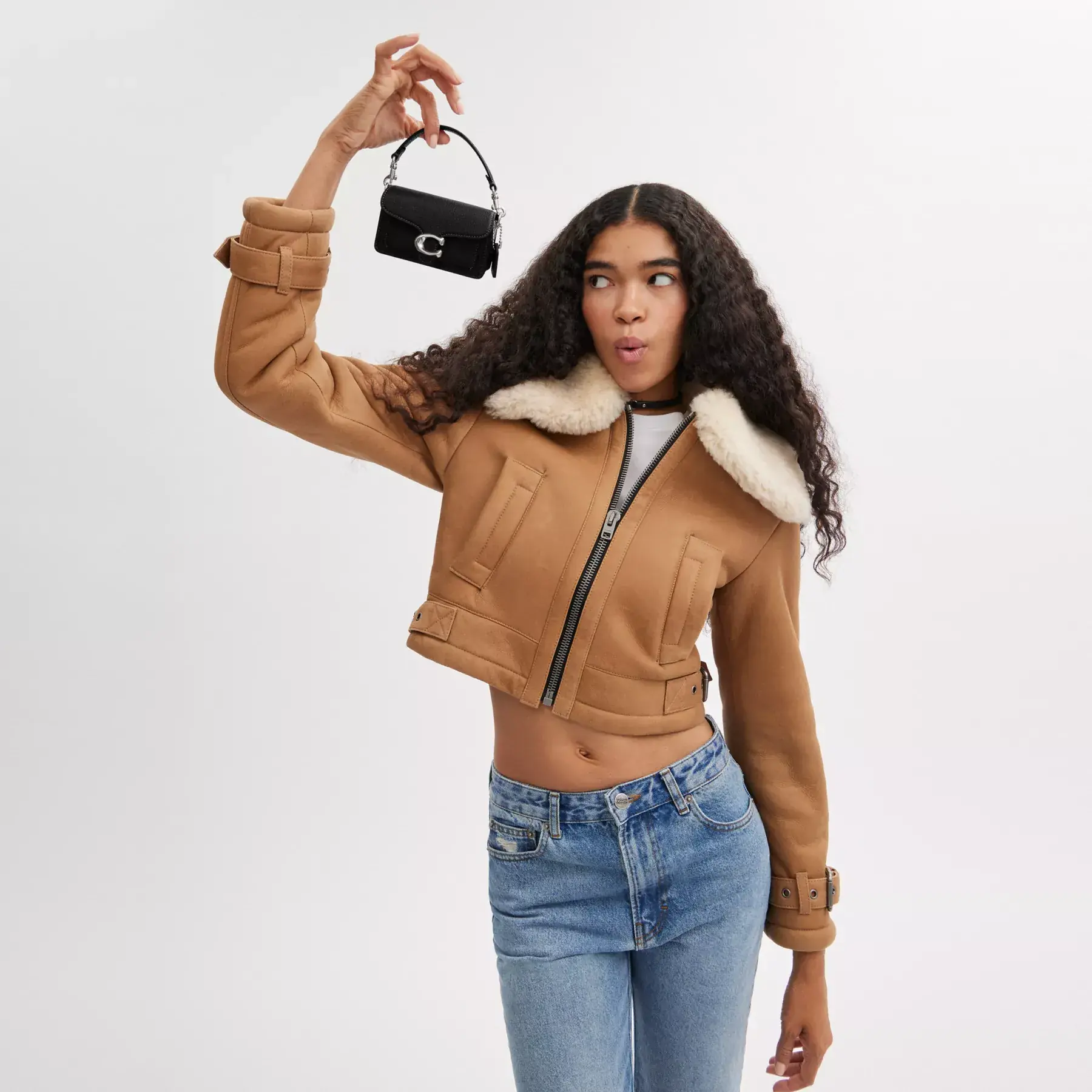 Tabby 12 Black Tabby 12 Black