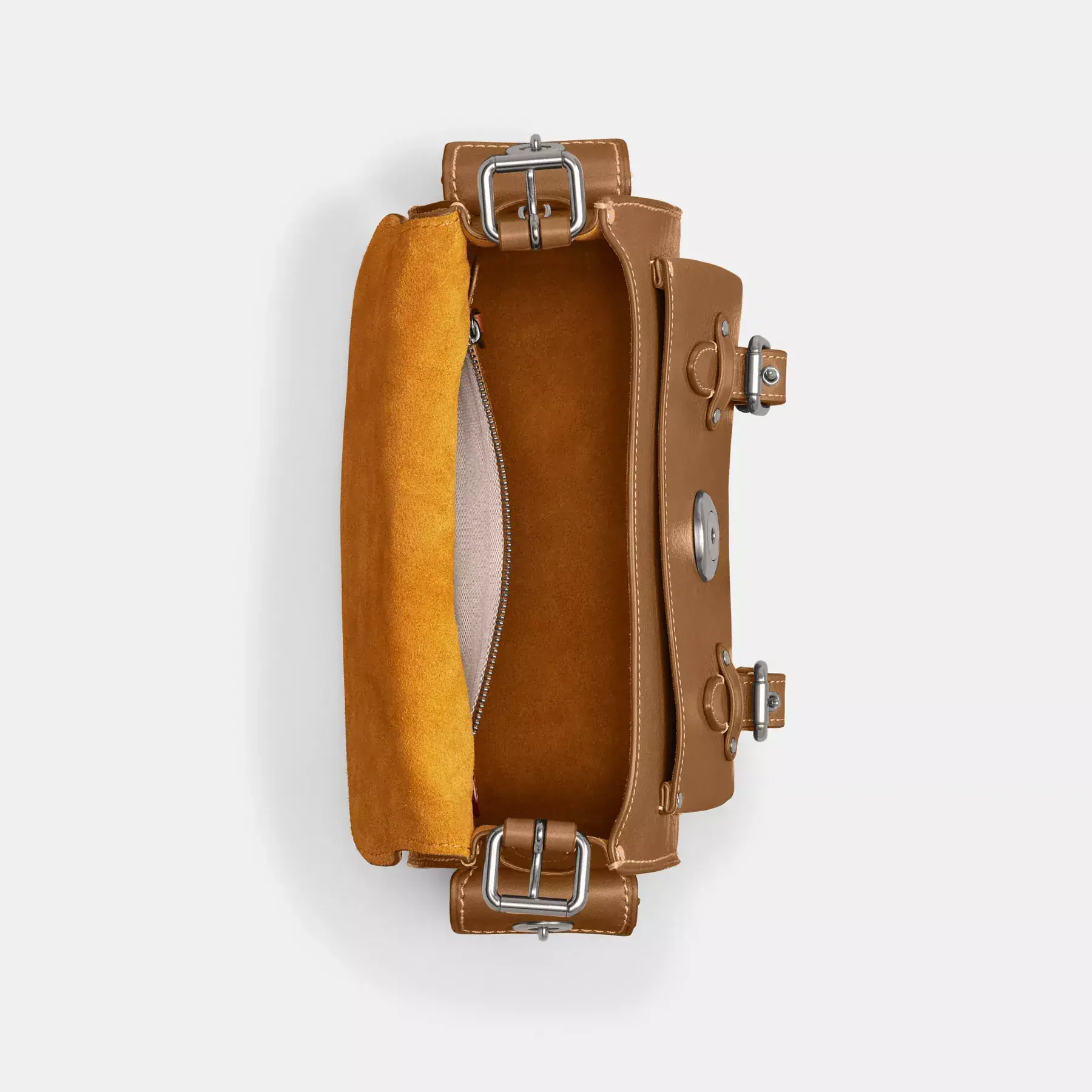 Western Tabby Honey Brown Western Tabby Honey Brown