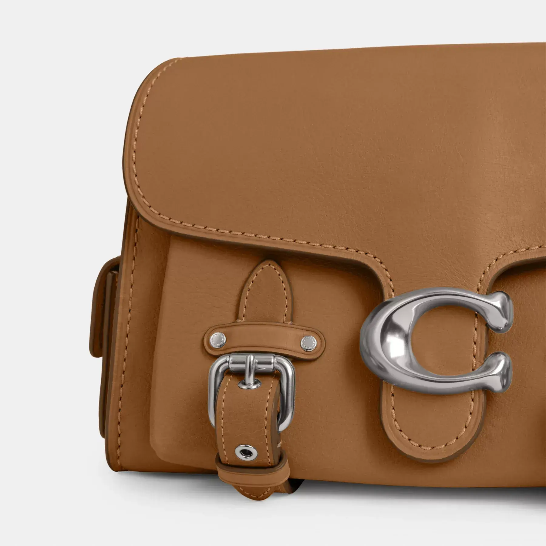 Western Tabby Honey Brown Western Tabby Honey Brown